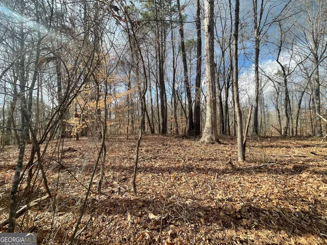 a view of a street with a building in the background