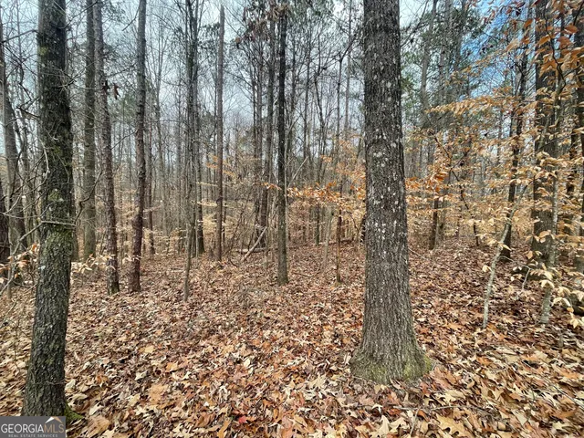 a view of a yard with trees