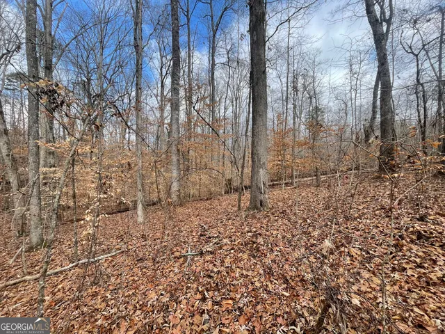 a view of a pathway with a yard