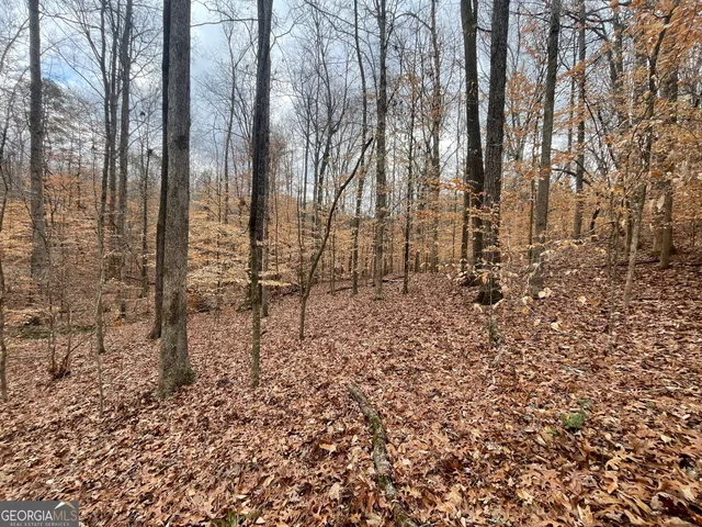a view of a yard with lots of green space