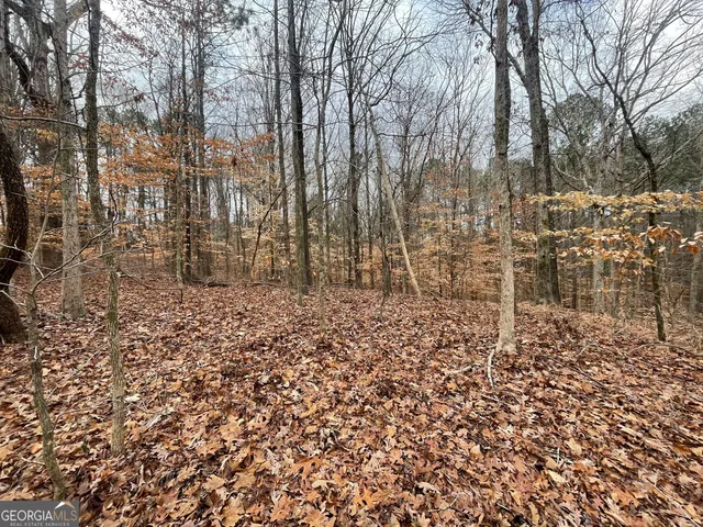 a view of a backyard with large trees