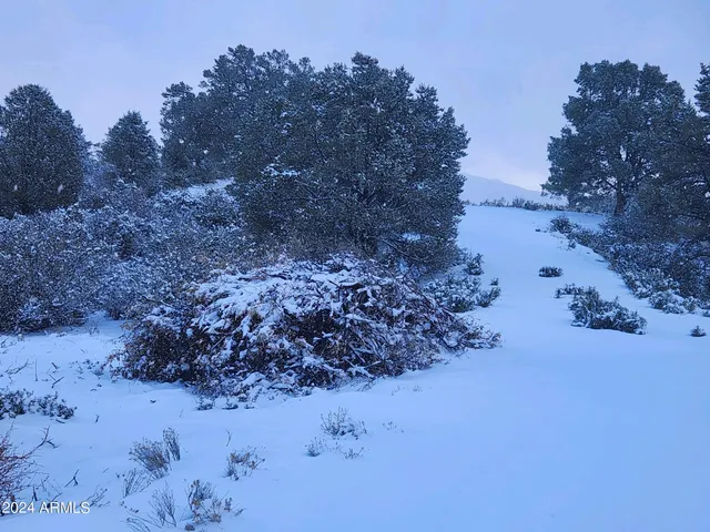 $225,000 | 2 Blue Sky Drive, Unit B, Peeples Valley, AZ 86332