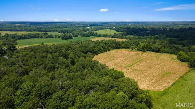 $888,000 | 0 County Road 349, Jackson, MO 63755