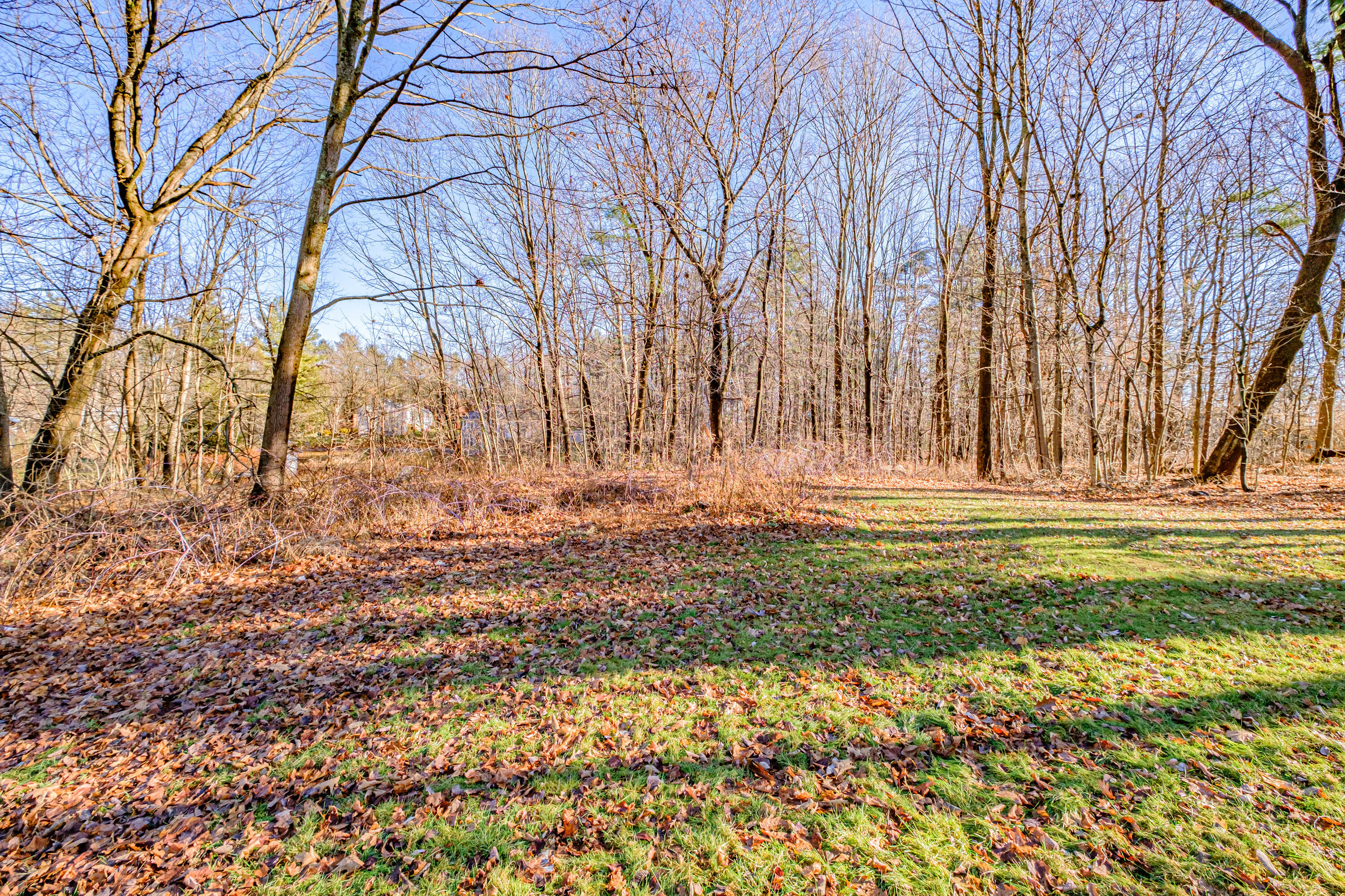 35 High Street Windham, ME 04062 - Photo 46 of 52 20241219gp-60048