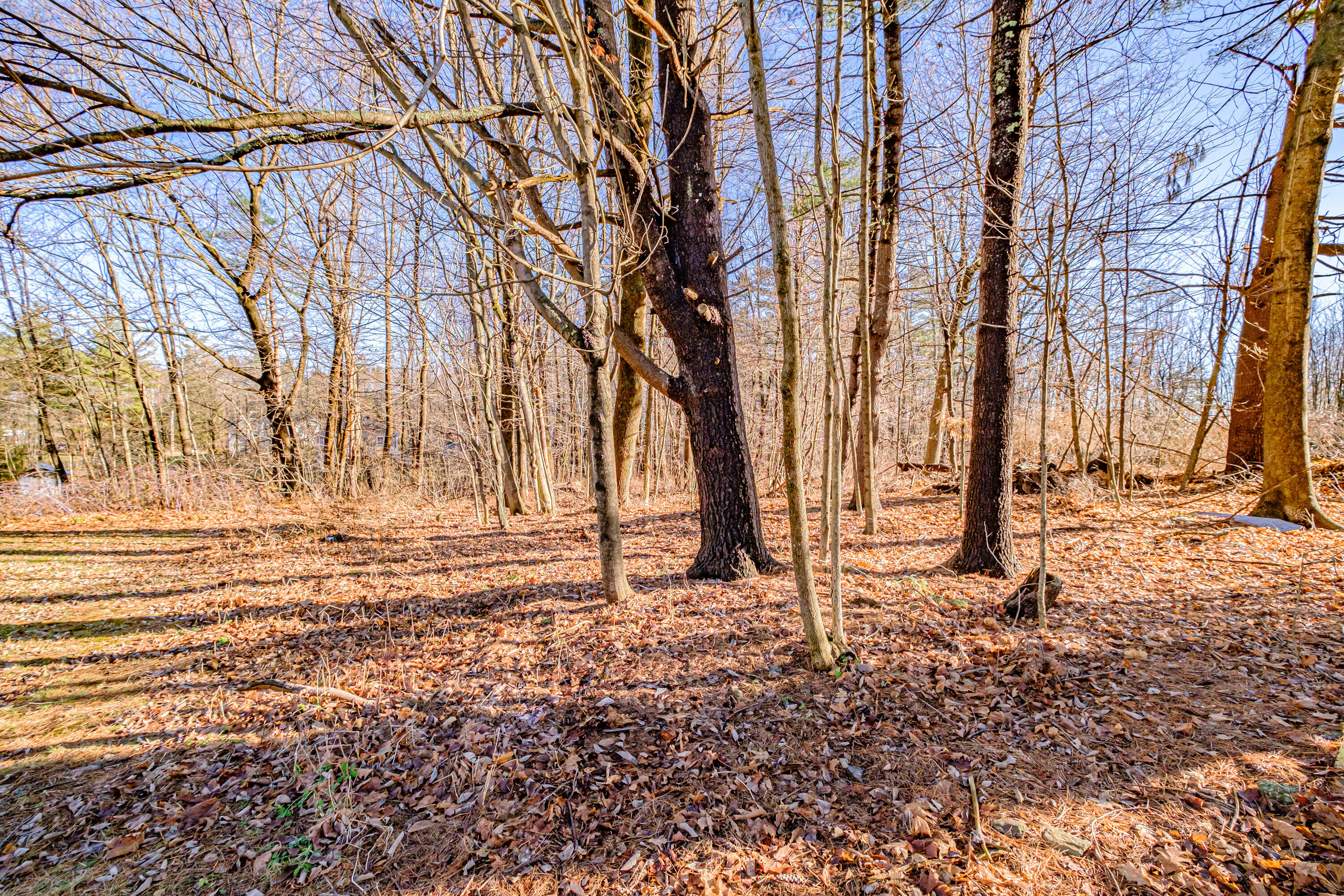 35 High Street Windham, ME 04062 - Photo 51 of 52 20241219gp-60053