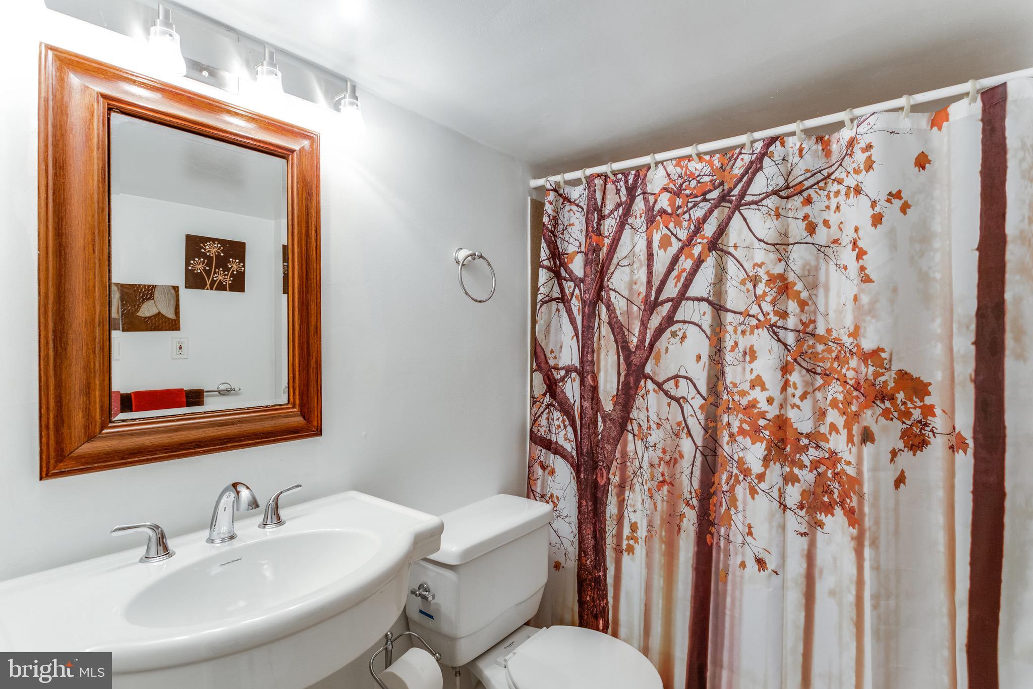 8808 Allentown Road Fort Washington, MD 20744 - Photo 33 of 50 Hall bath on lower level