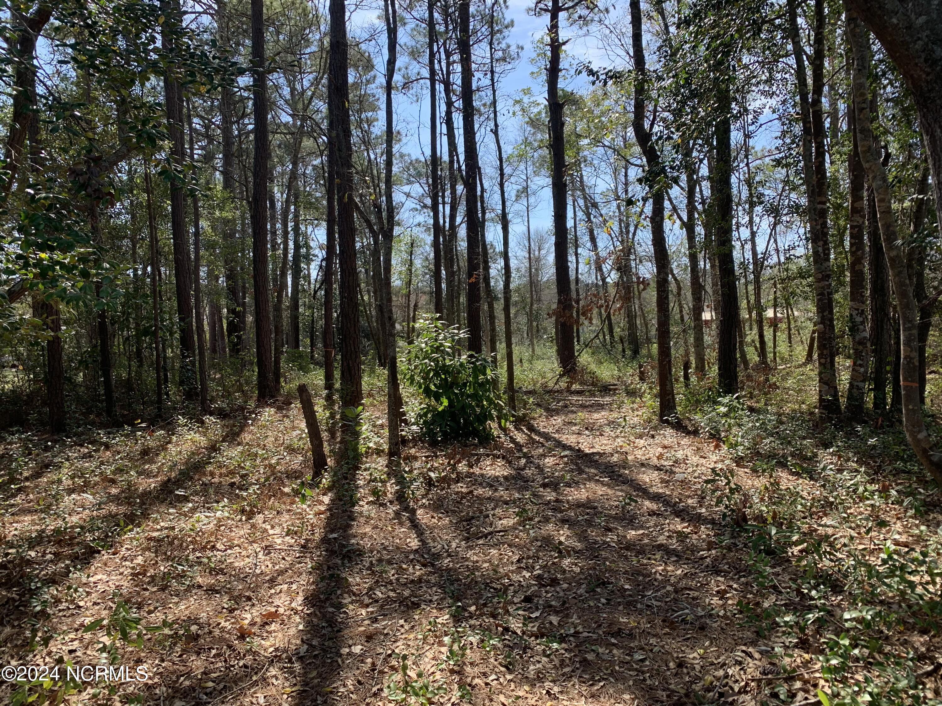 1035 Stanbury Road Southwest Supply, NC 28462 - Photo 1 of 2 1035 Stanbury Rd SW