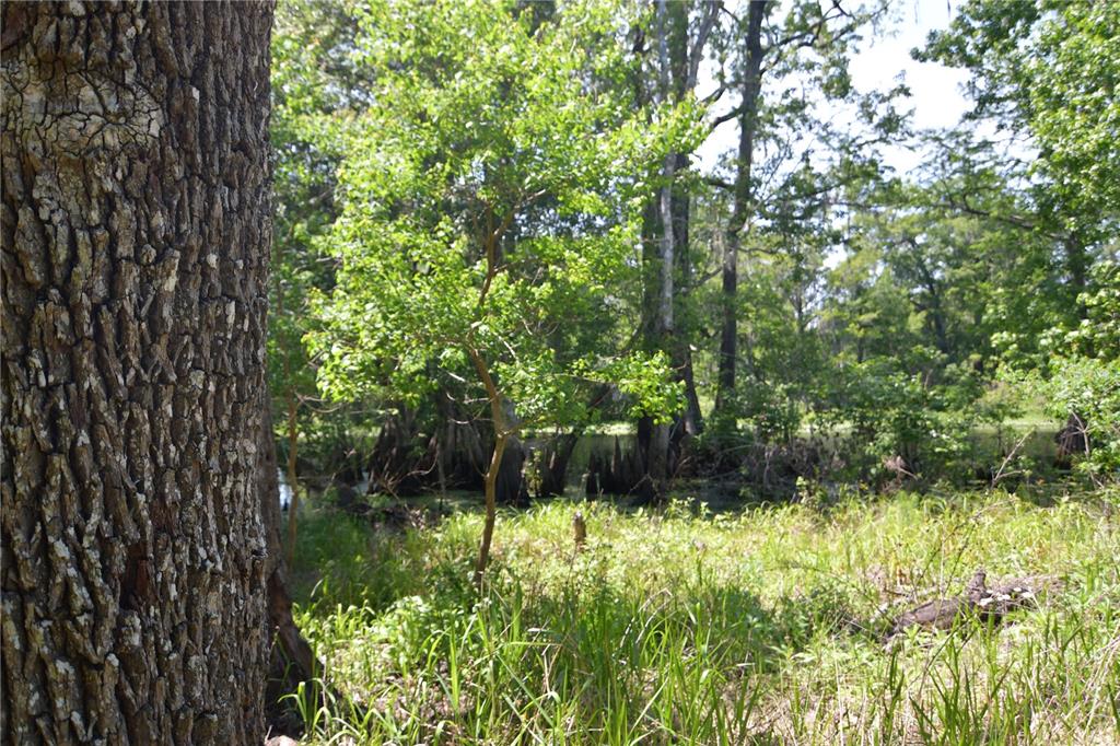 Southwest 64th Avenue Bushnell, FL 33513 - Photo 11 of 21