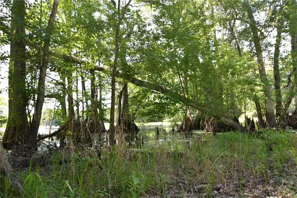 $55,000 | Southwest 64th Avenue, Bushnell, FL 33513