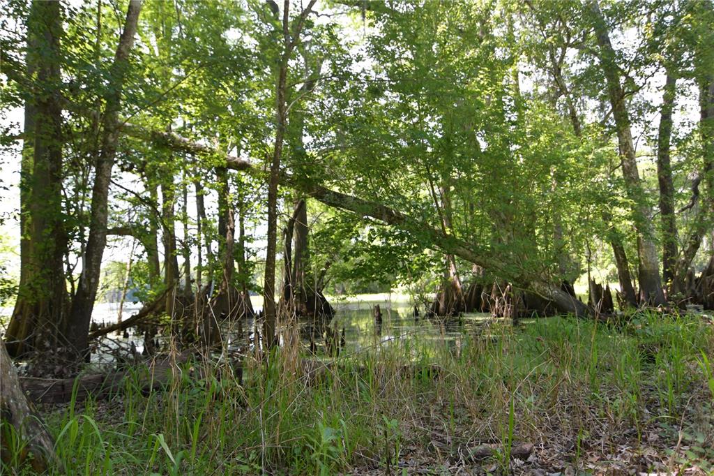 Southwest 64th Avenue Bushnell, FL 33513 - Photo 12 of 21