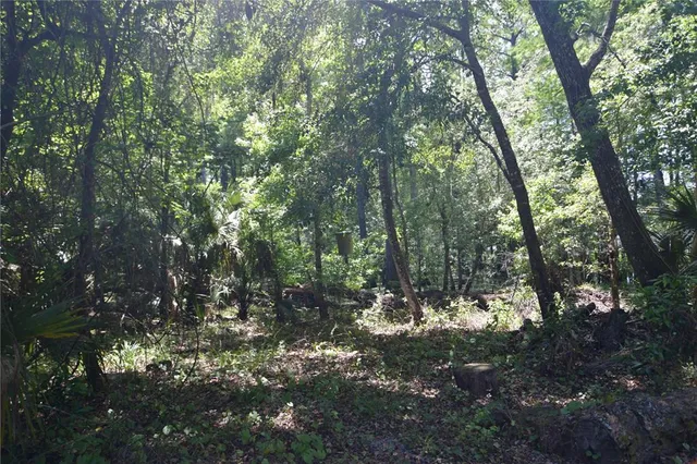 $69,000 | Southwest 64th Avenue, Bushnell, FL 33513