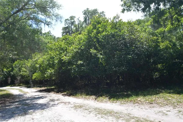 $55,000 | Southwest 64th Avenue, Bushnell, FL 33513
