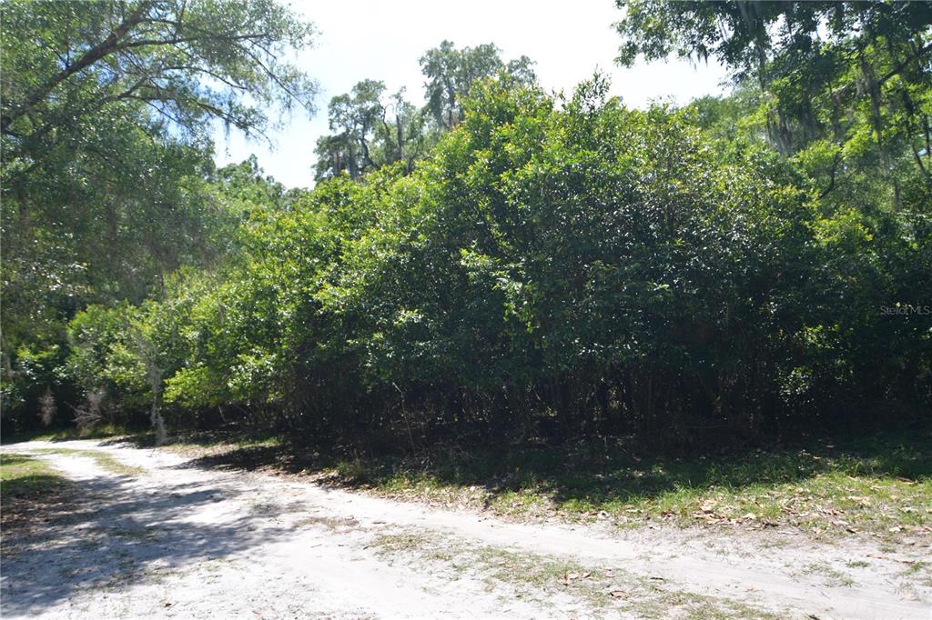 Southwest 64th Avenue Bushnell, FL 33513 - Photo 14 of 21