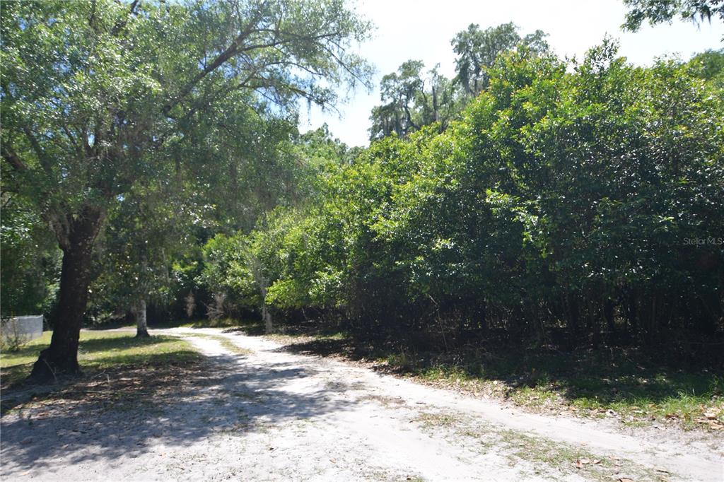 Southwest 64th Avenue Bushnell, FL 33513 - Photo 16 of 21