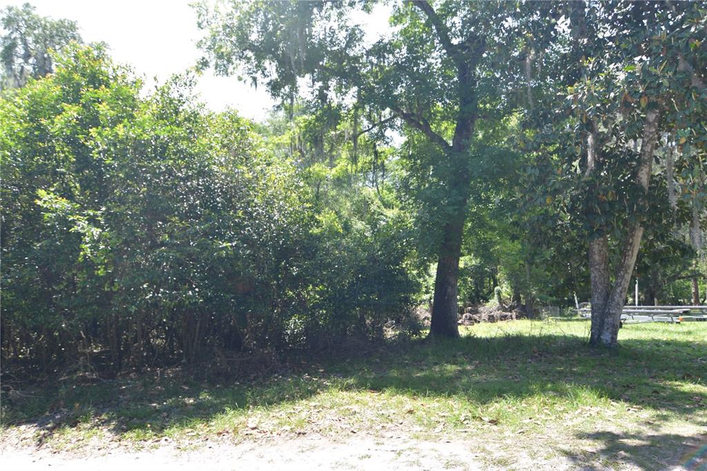 Southwest 64th Avenue Bushnell, FL 33513 - Photo 17 of 21