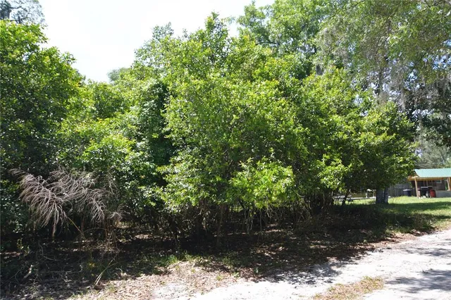 $69,000 | Southwest 64th Avenue, Bushnell, FL 33513