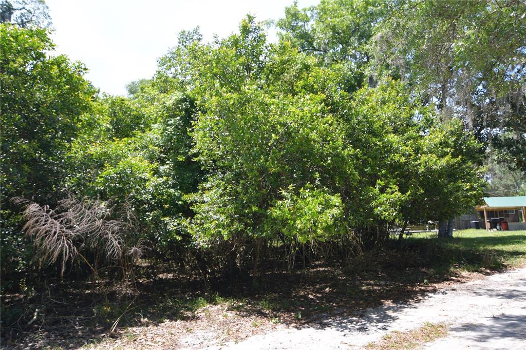 Southwest 64th Avenue Bushnell, FL 33513 - Photo 18 of 21