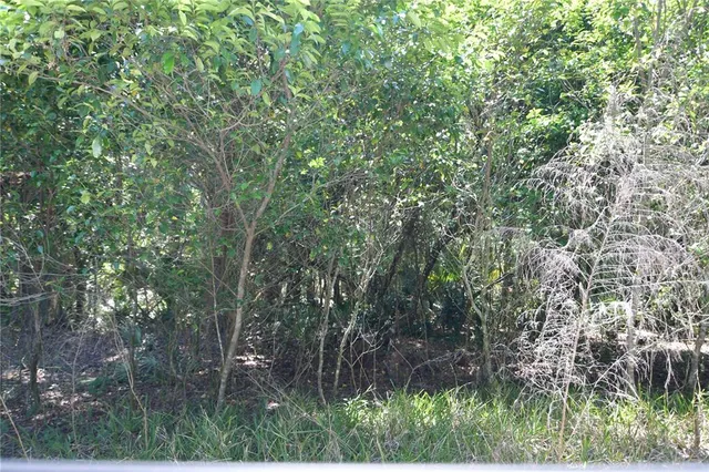 $69,000 | Southwest 64th Avenue, Bushnell, FL 33513