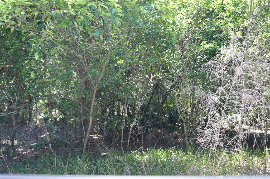 Southwest 64th Avenue Bushnell, FL 33513 - Photo 19 of 21