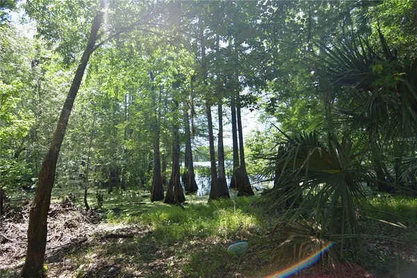 $55,000 | Southwest 64th Avenue, Bushnell, FL 33513