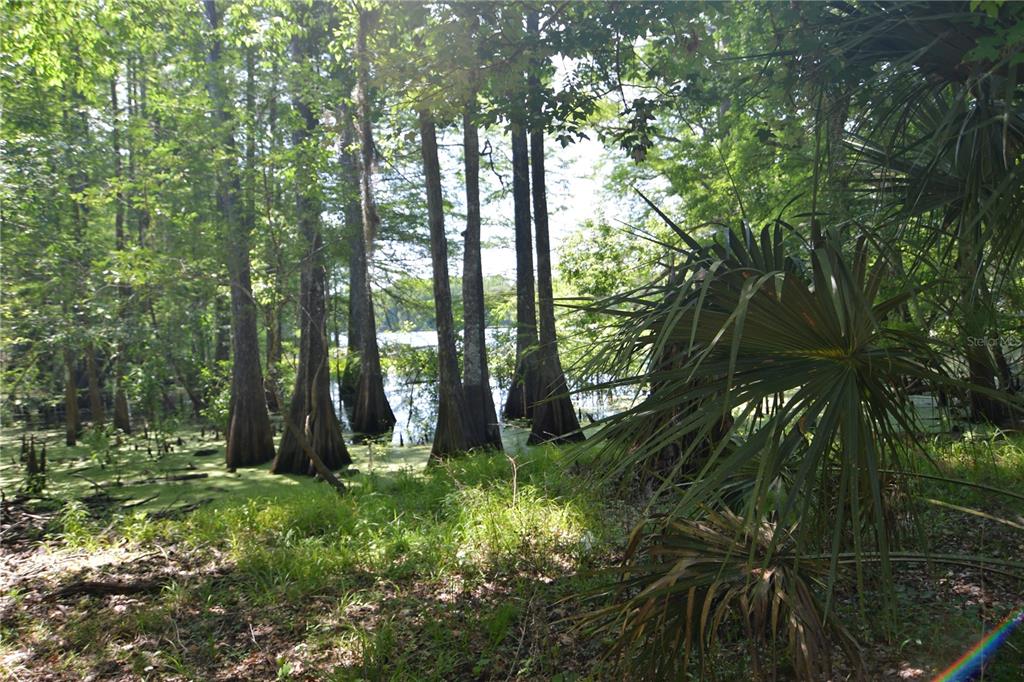 Southwest 64th Avenue Bushnell, FL 33513 - Photo 3 of 21