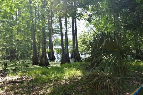 $55,000 | Southwest 64th Avenue, Bushnell, FL 33513