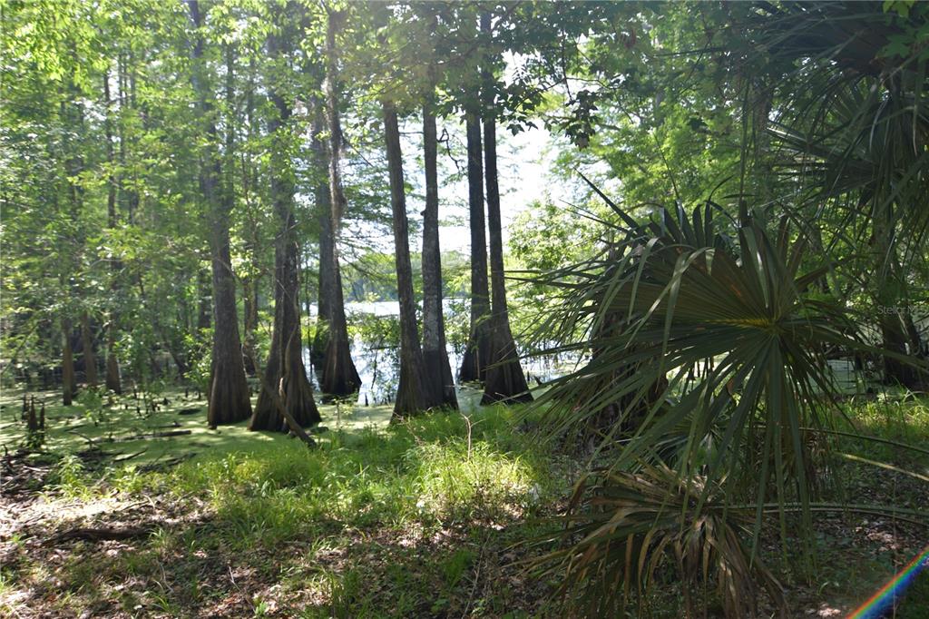 Southwest 64th Avenue Bushnell, FL 33513 - Photo 4 of 21