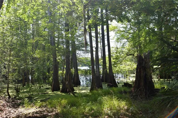 $55,000 | Southwest 64th Avenue, Bushnell, FL 33513