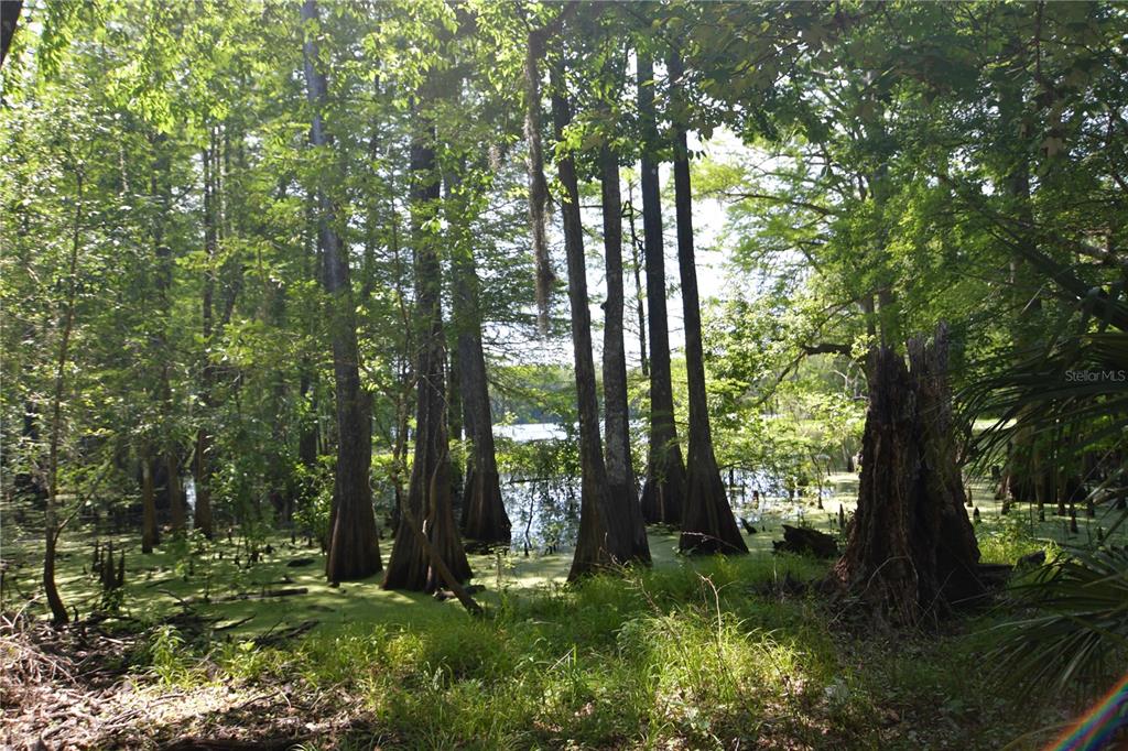 Southwest 64th Avenue Bushnell, FL 33513 - Photo 5 of 21