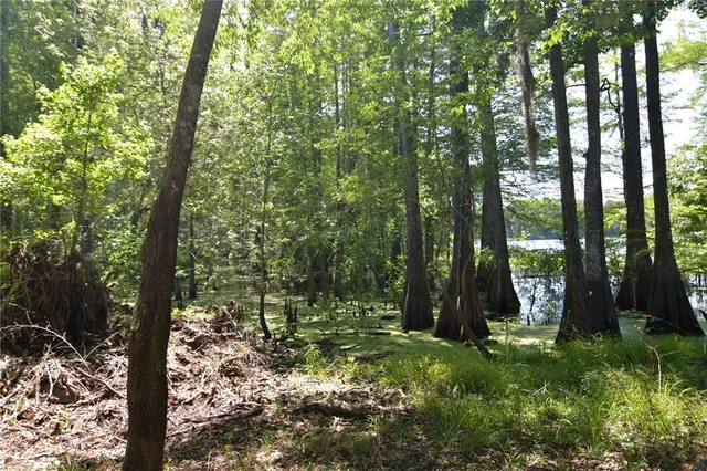 $69,000 | Southwest 64th Avenue, Bushnell, FL 33513