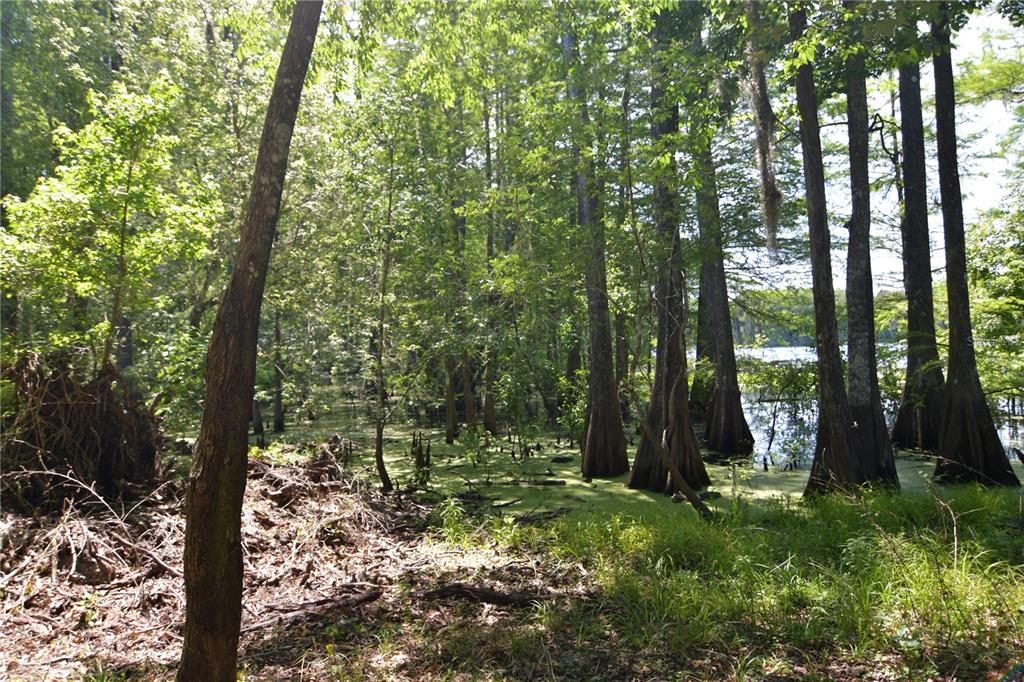 Southwest 64th Avenue Bushnell, FL 33513 - Photo 6 of 21