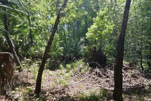 $69,000 | Southwest 64th Avenue, Bushnell, FL 33513