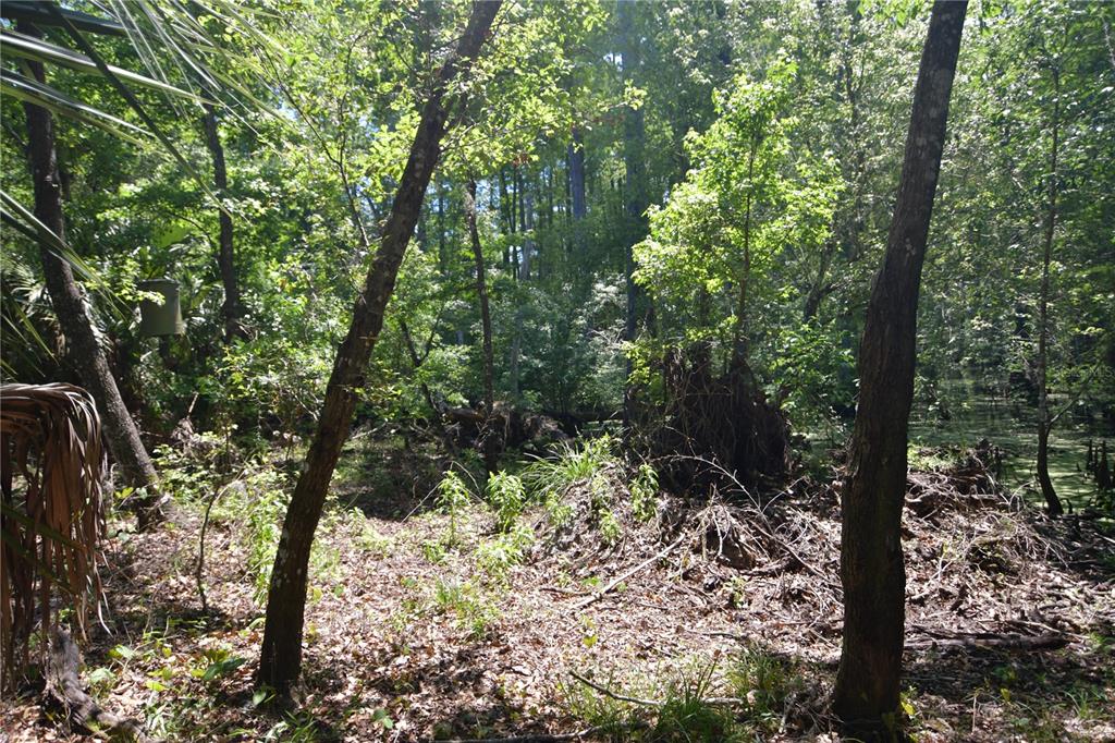 Southwest 64th Avenue Bushnell, FL 33513 - Photo 7 of 21