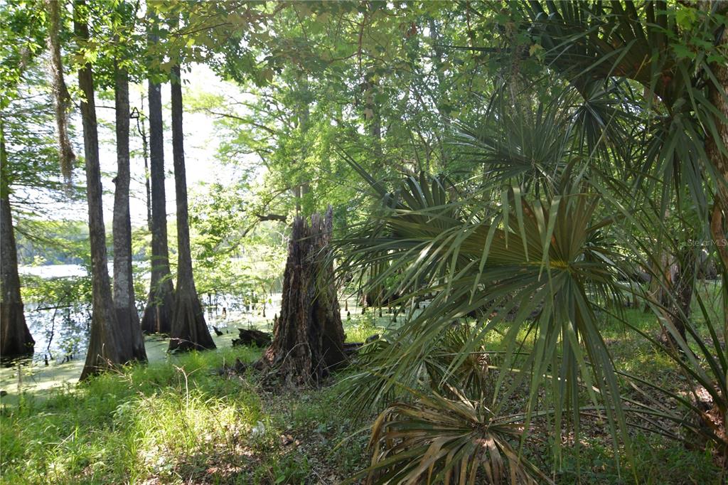 Southwest 64th Avenue Bushnell, FL 33513 - Photo 8 of 21