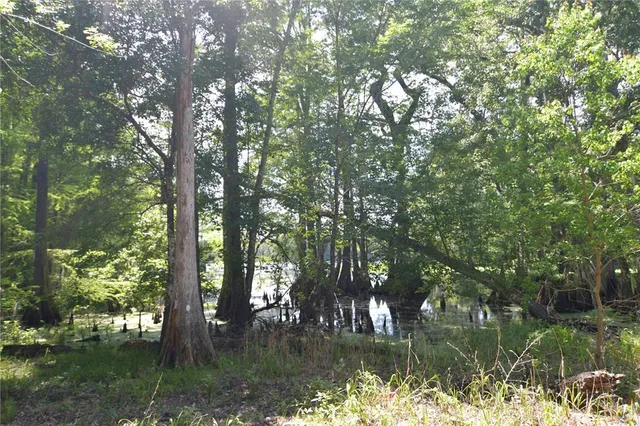 $69,000 | Southwest 64th Avenue, Bushnell, FL 33513