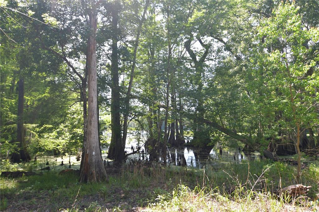 Southwest 64th Avenue Bushnell, FL 33513 - Photo 9 of 21