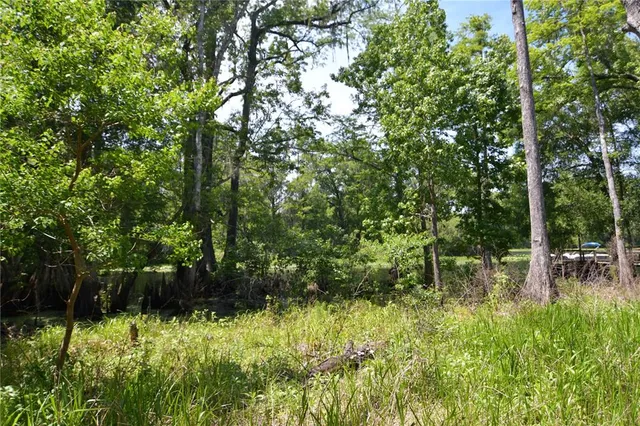 $69,000 | Southwest 64th Avenue, Bushnell, FL 33513