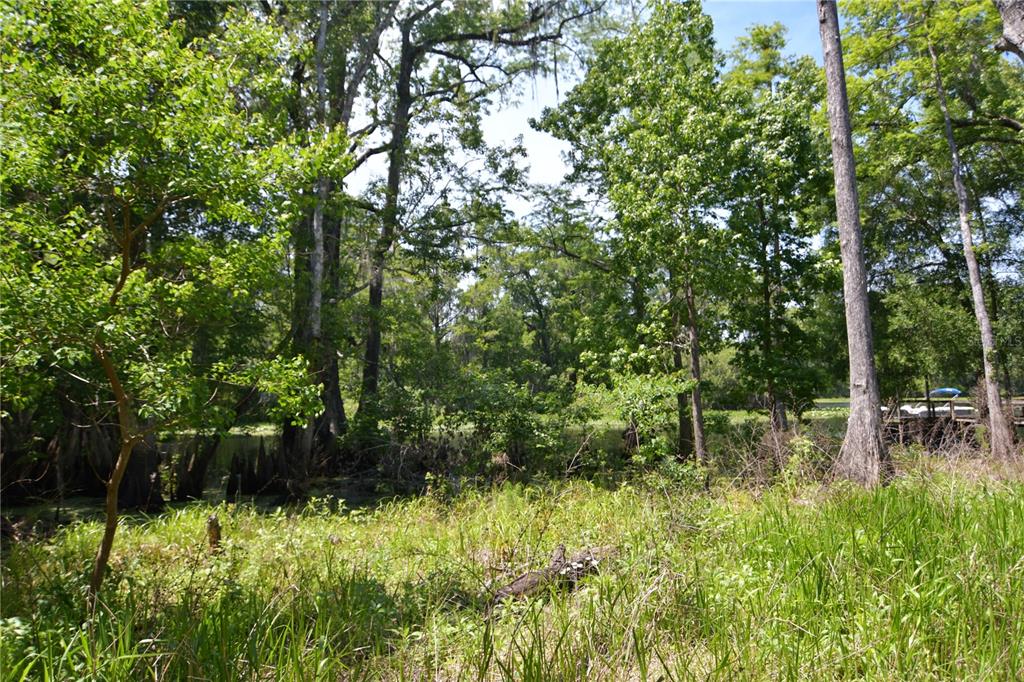 Southwest 64th Avenue Bushnell, FL 33513 - Photo 10 of 21