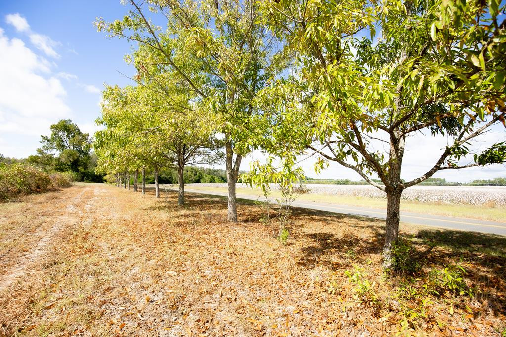 184 Homeplace Road Neeses, SC 29107 - Photo 31 of 39