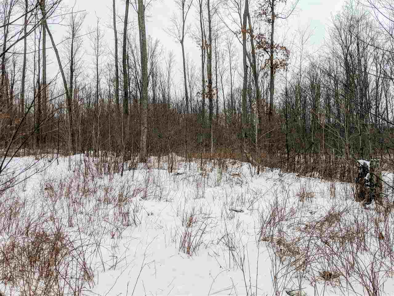 6690 Packingham Road Manton, MI 49663 - Photo 7 of 26 1856415-6.JPG