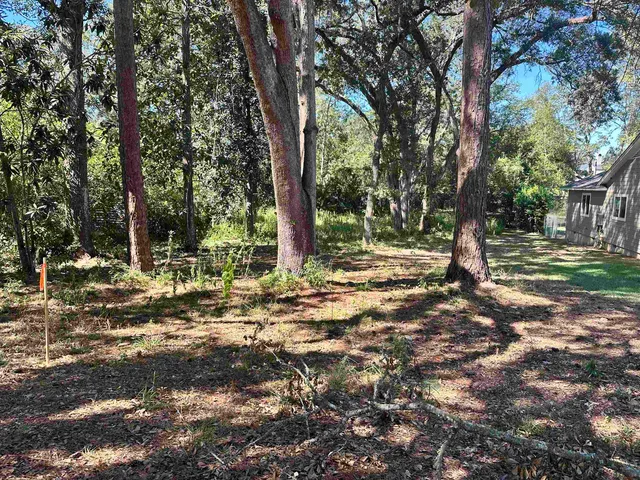 $200,000 | Xxx Trescott Drive, Tallahassee, FL 32308