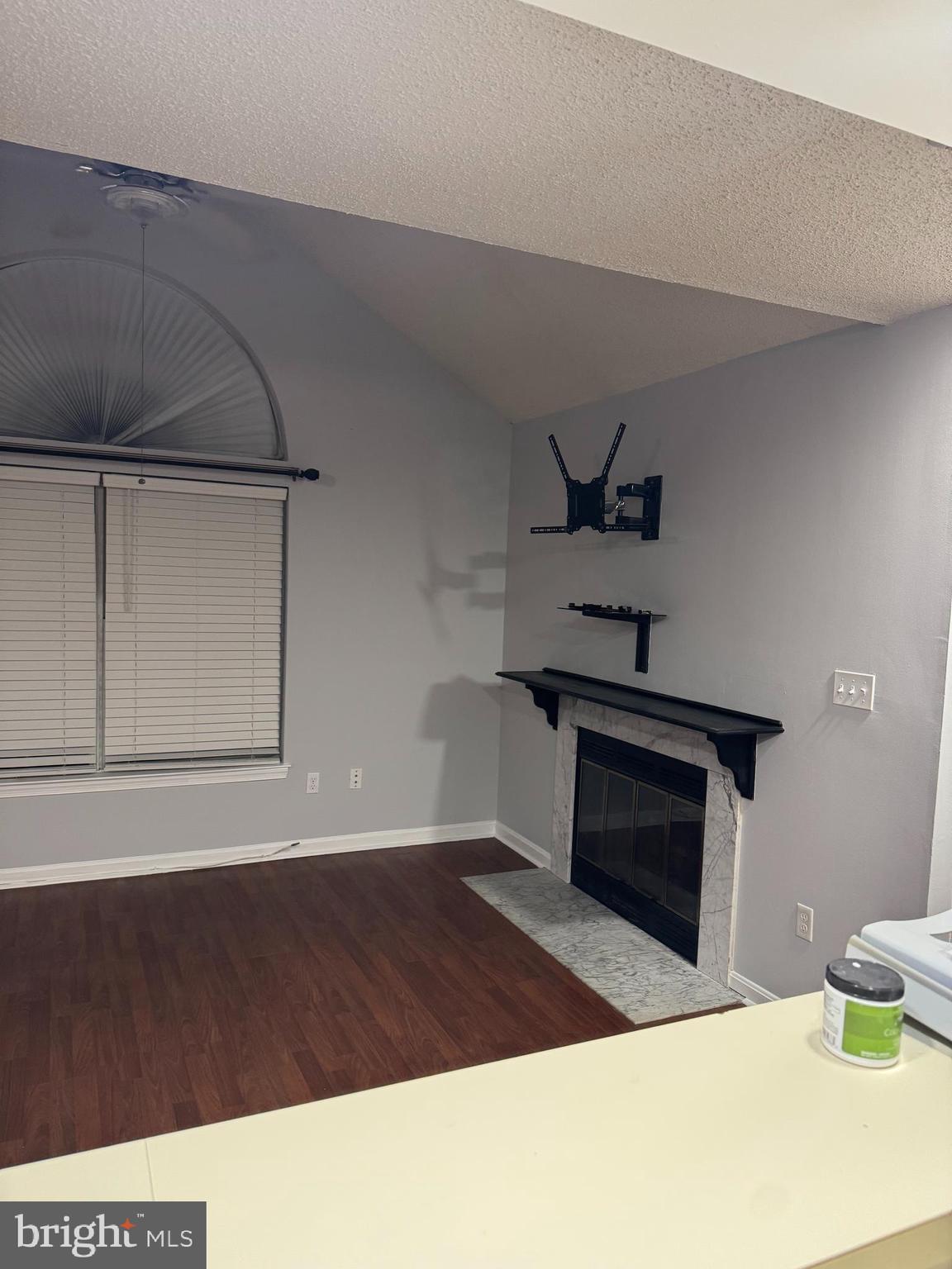 10409 Beacon Ridge Drive, Unit 8201 Bowie, MD 20721 - Photo 7 of 9 Toned down fireplace wall