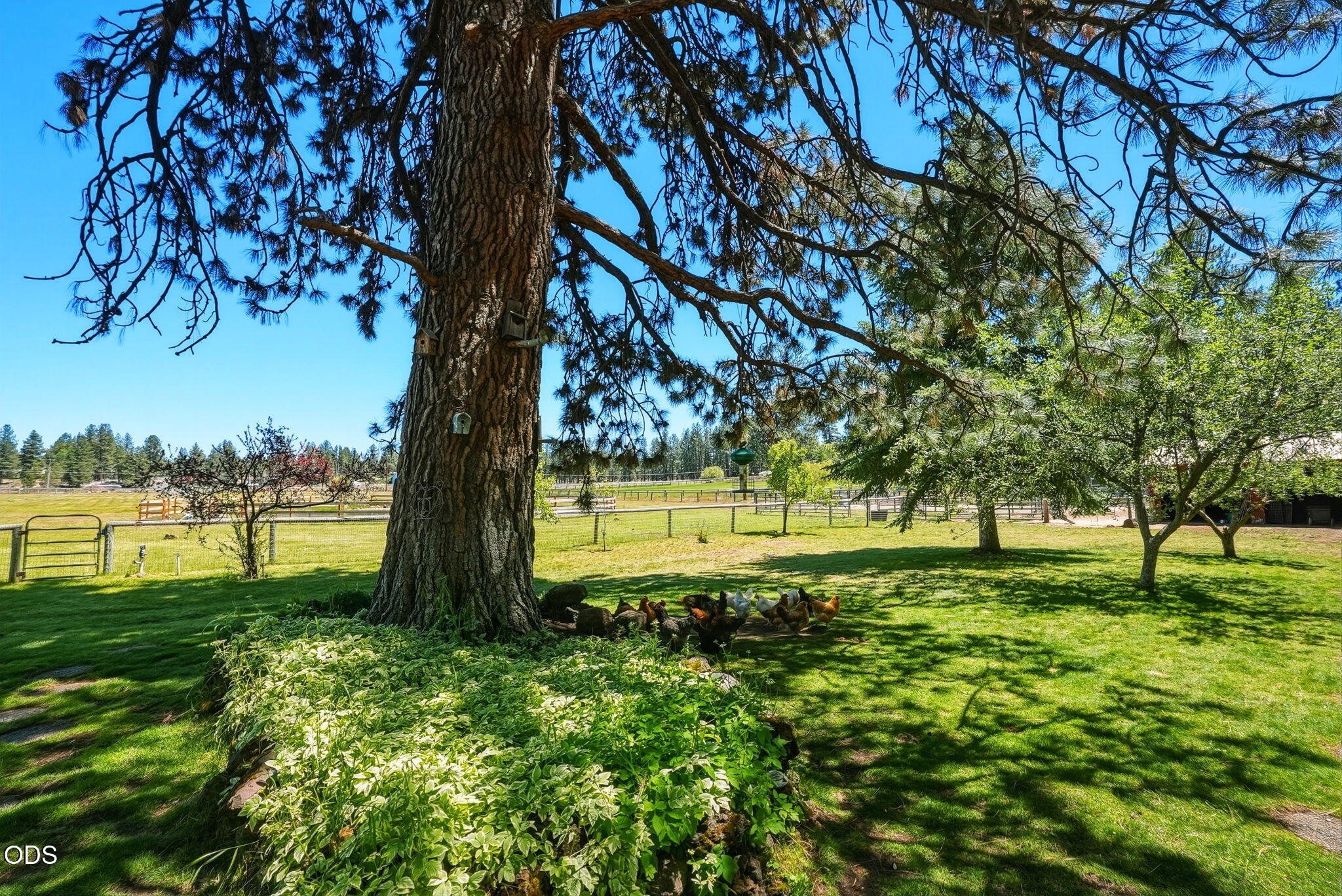 60315 Tekampe Road Bend, OR 97702 - Photo 51 of 74