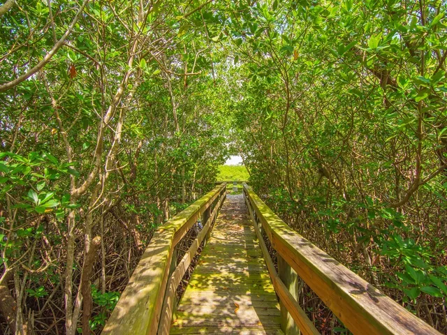a view of outdoor space with seating area