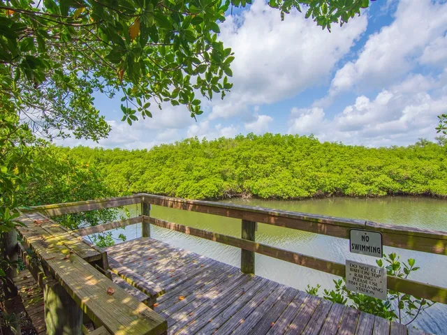 a view of a lake with houses in the background