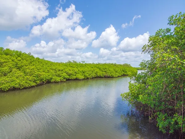 a front view of a house with a yard and potted plants