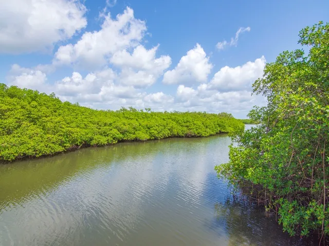 a front view of a house with a yard and potted plants