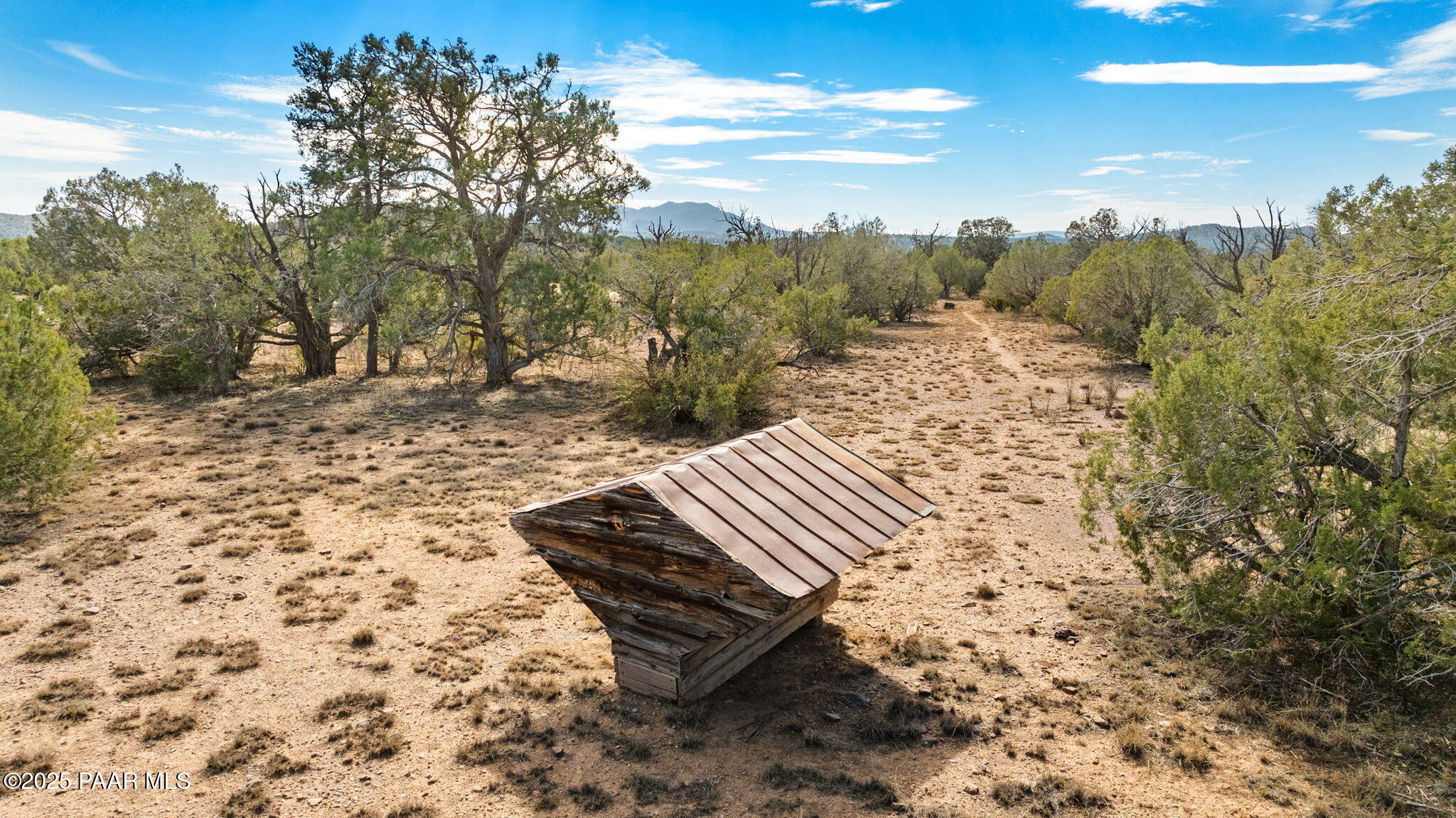 5100 Dillon Wash Road Prescott, AZ 86305 - Photo 20 of 24 a view of a backyard with trees
