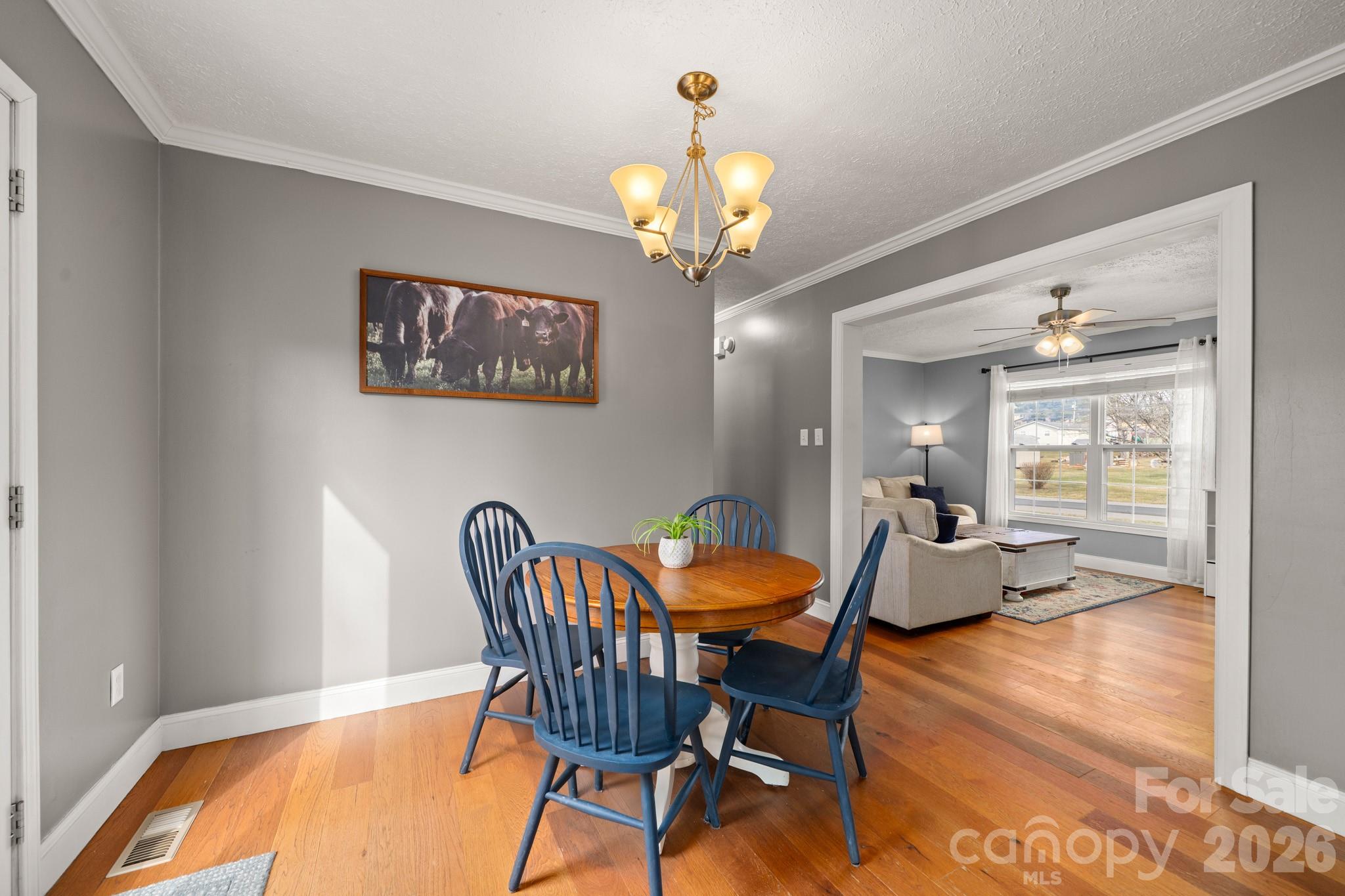 121 James Street Clyde, NC 28721 - Photo 22 of 34