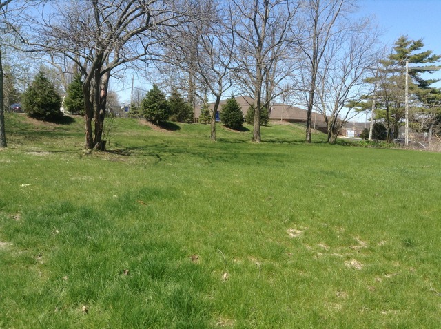 107 South Prairie Road New Lenox, IL 60451 - Photo 18 of 20